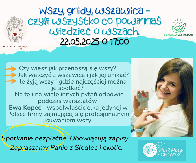 wszy gnidy wszawica